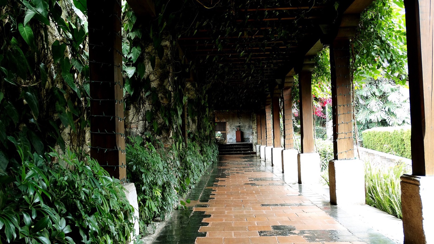 Pasillo entre enredaderas y ruinas del antiguo Convento de Santo Domingo, Antigua